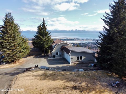 Photo of 825 Rosebud Court, Homer, AK 99603 (MLS # 26-5010)