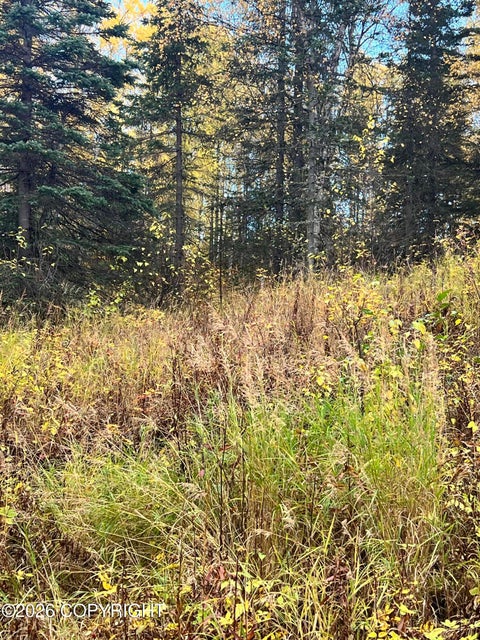 Vacant Land For Sale - 2492 N Barnacle Drive<br/> Wasilla, AK 99623