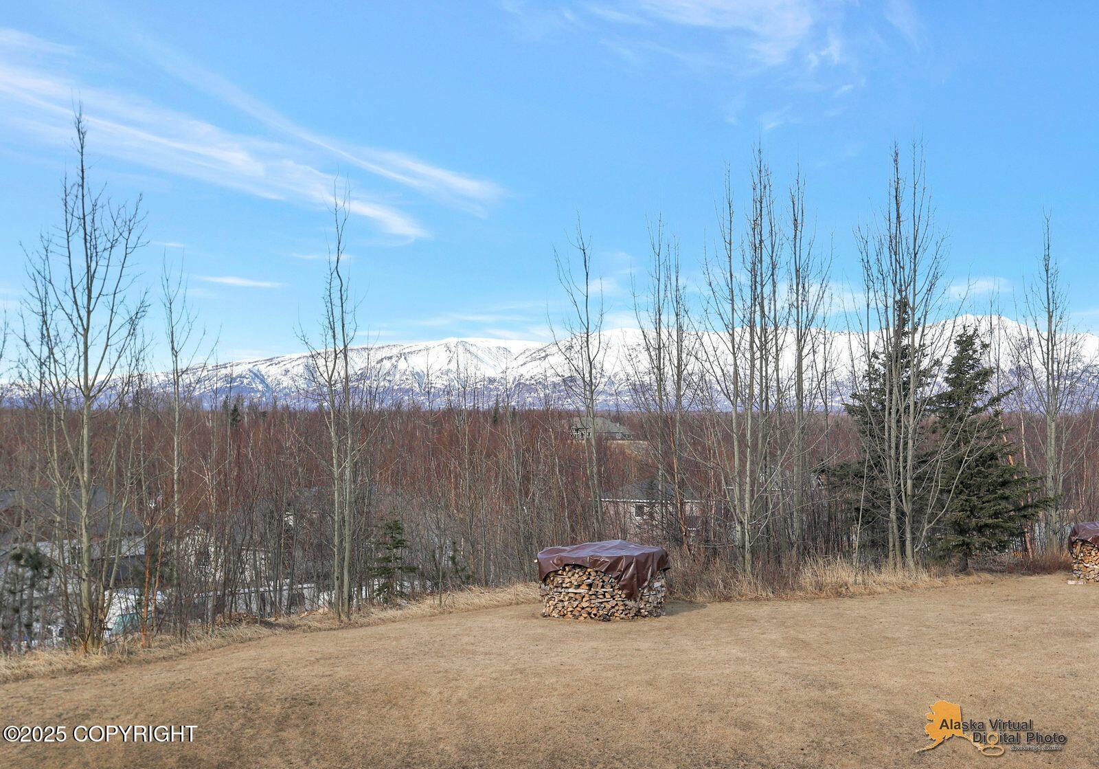 10710 N Dallas Circle, Palmer, Alaska image 35