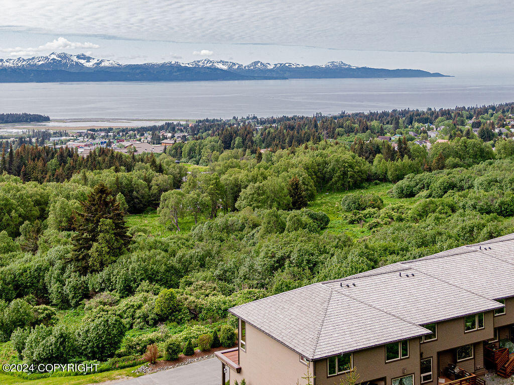 816 Quiet Creek Drive, Homer, Alaska image 47
