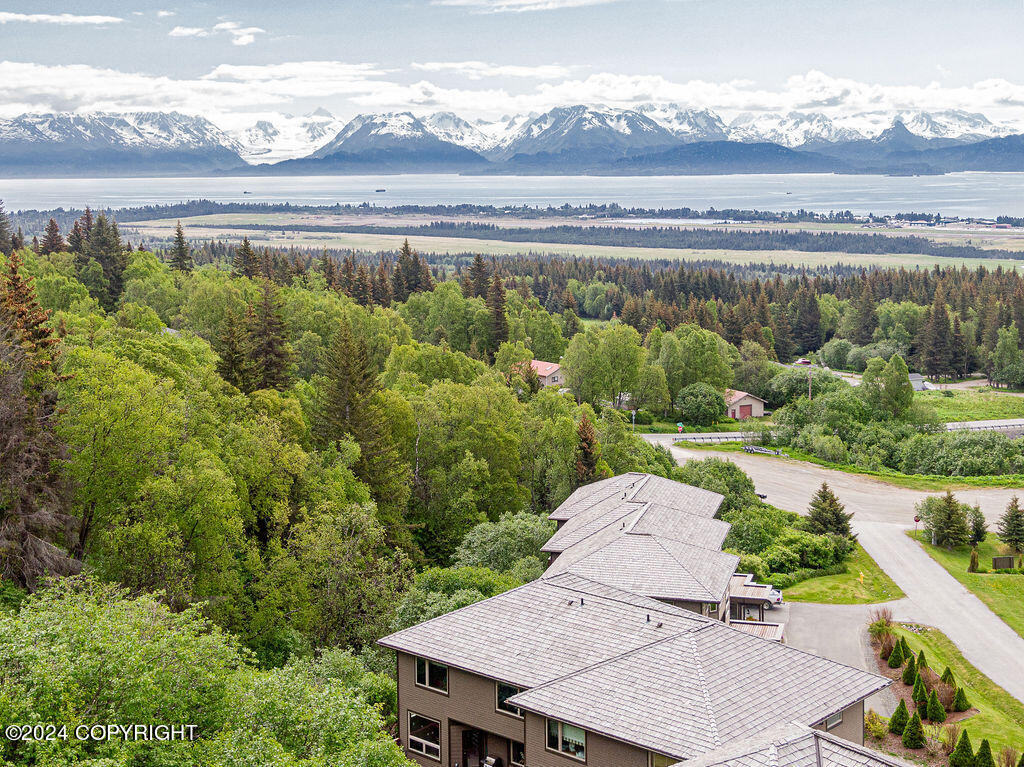 816 Quiet Creek Drive, Homer, Alaska image 48