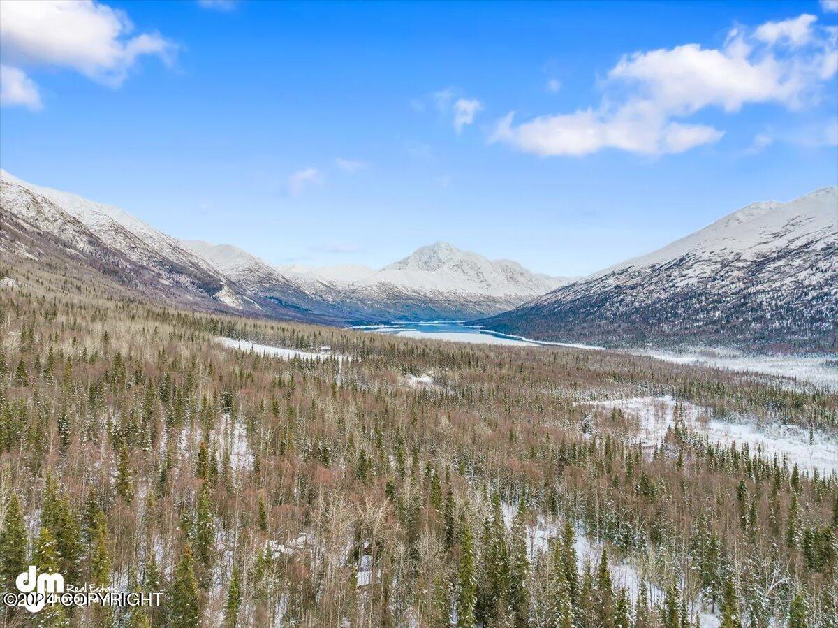 38281 Raymond Avenue, Chugiak, Alaska image 8