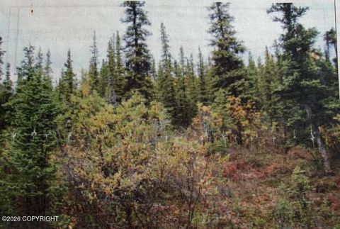 Vacant Land For Sale - TRT 20 Asls 2009-46<br/> Glennallen, AK 99588