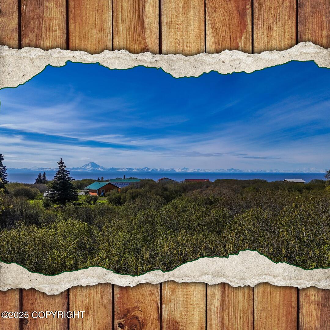 10505 Sterling Highway, Ninilchik, Alaska image 1