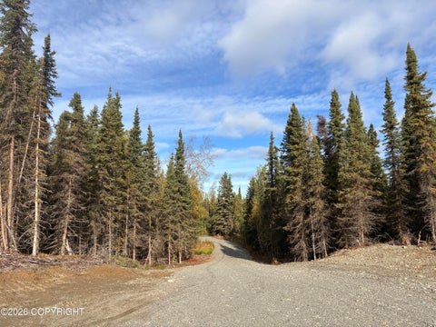 Vacant Land For Sale - L4-B1 Aklavik Circle<br/> Soldotna, AK 99669