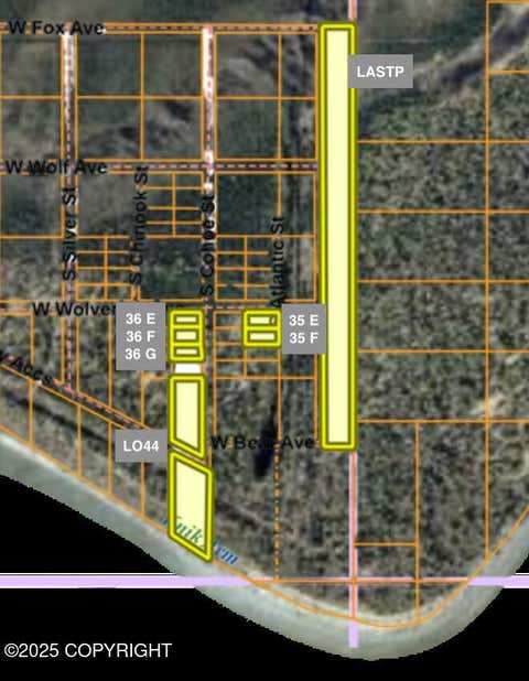 Vacant Land For Sale - LE B35 Trail On Point Mackenzie<br/> Wasilla, AK 99623