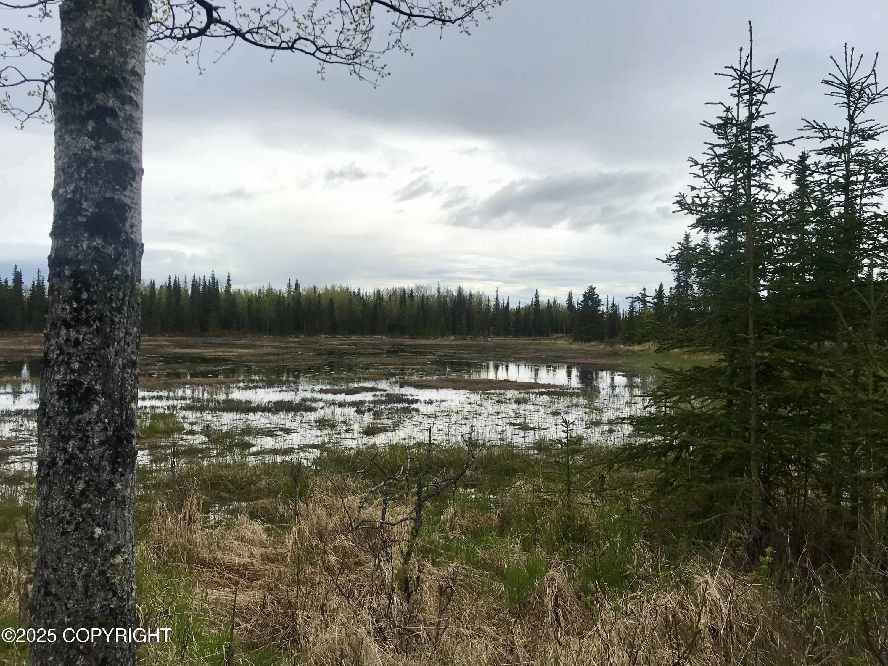 23650 Lost Street, Kasilof, Alaska image 41