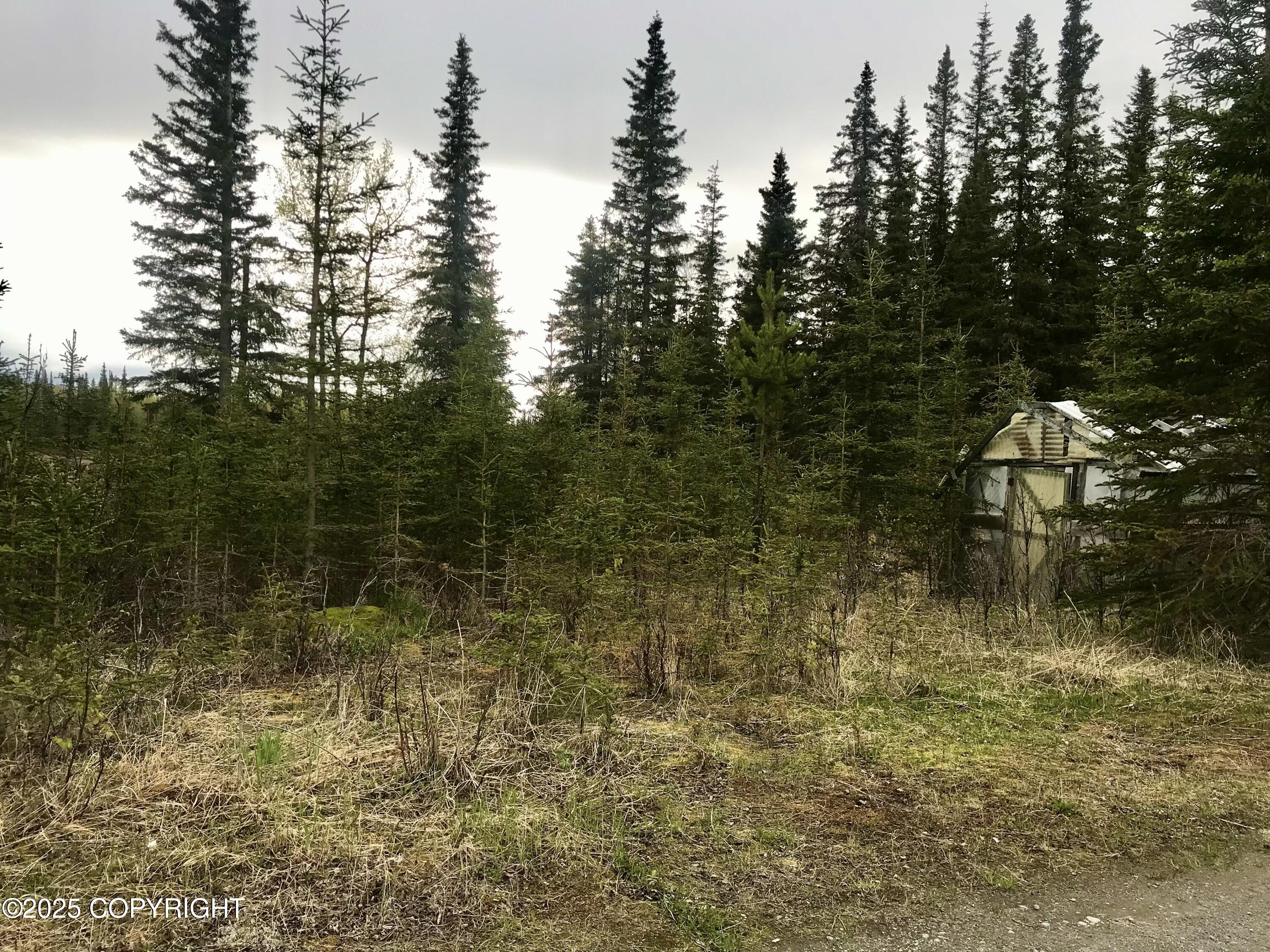 23650 Lost Street, Kasilof, Alaska image 37