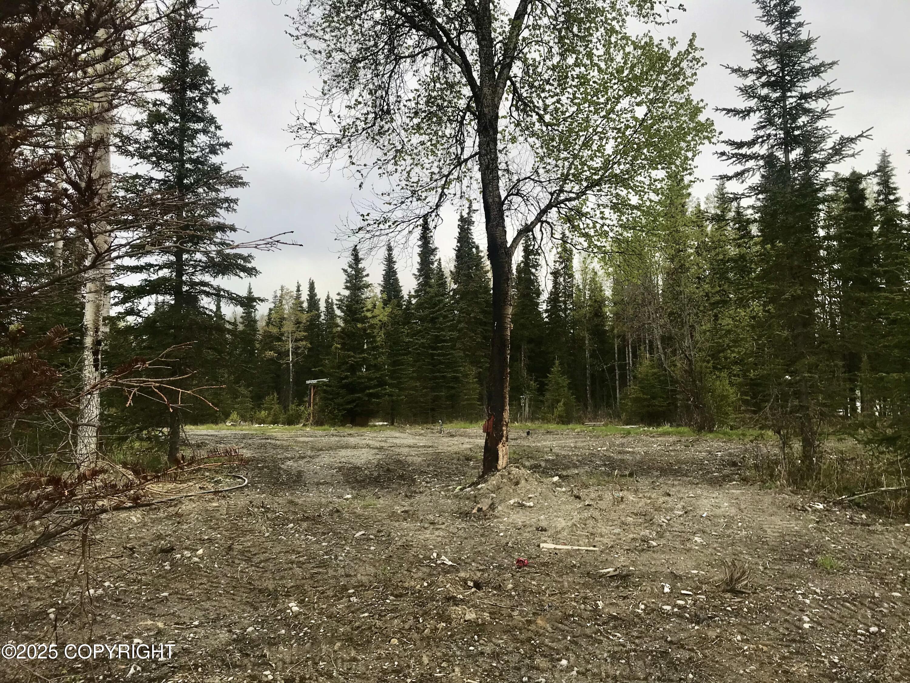 23650 Lost Street, Kasilof, Alaska image 40