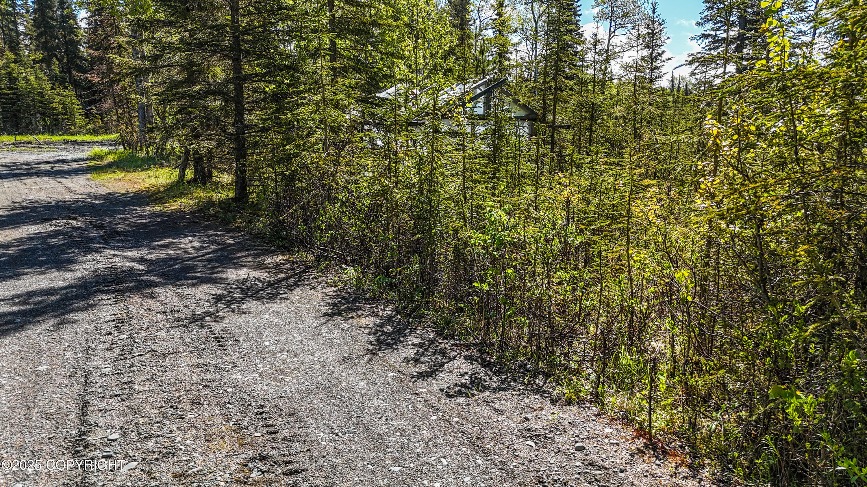 23650 Lost Street, Kasilof, Alaska image 9