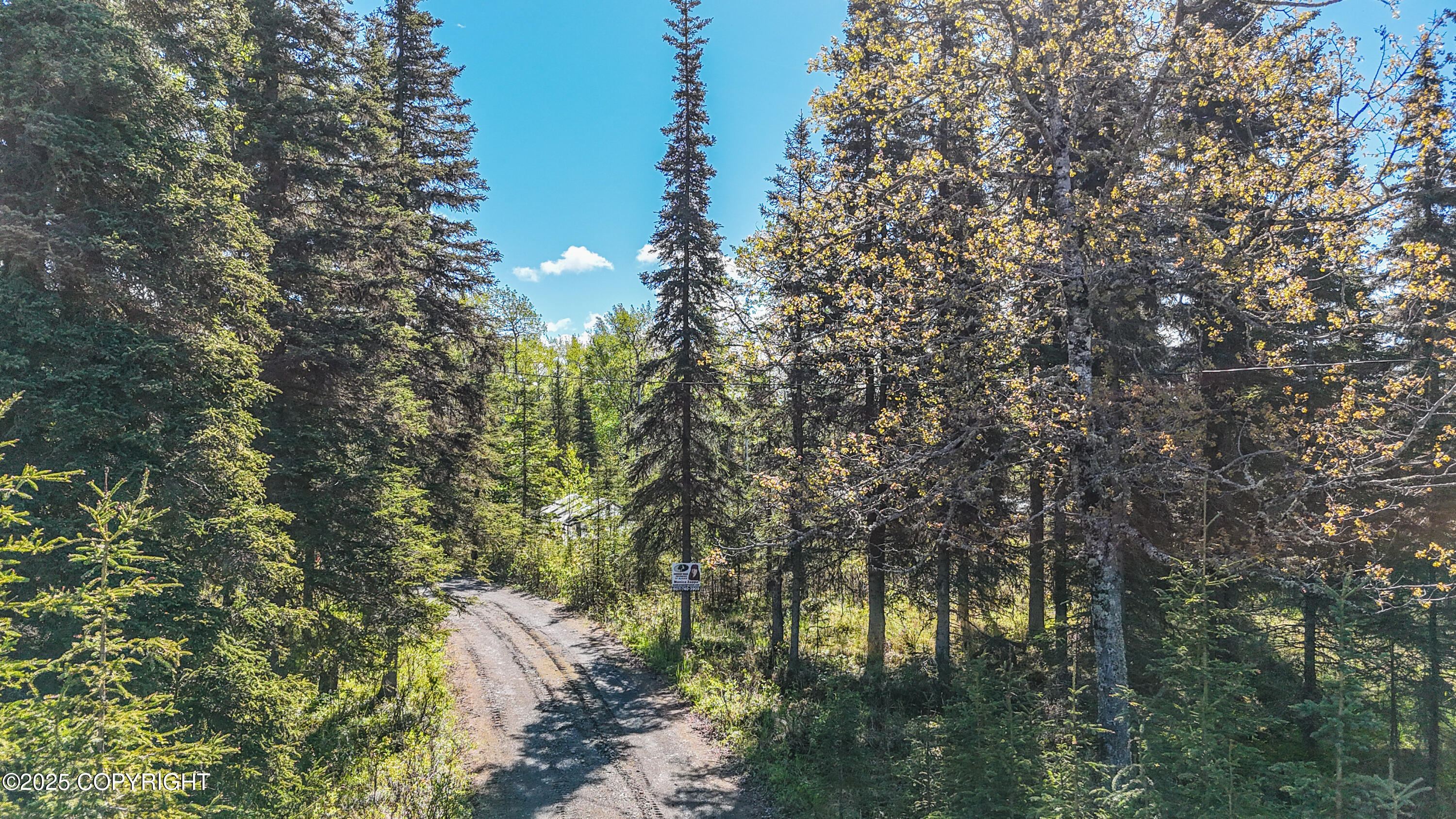 23650 Lost Street, Kasilof, Alaska image 36