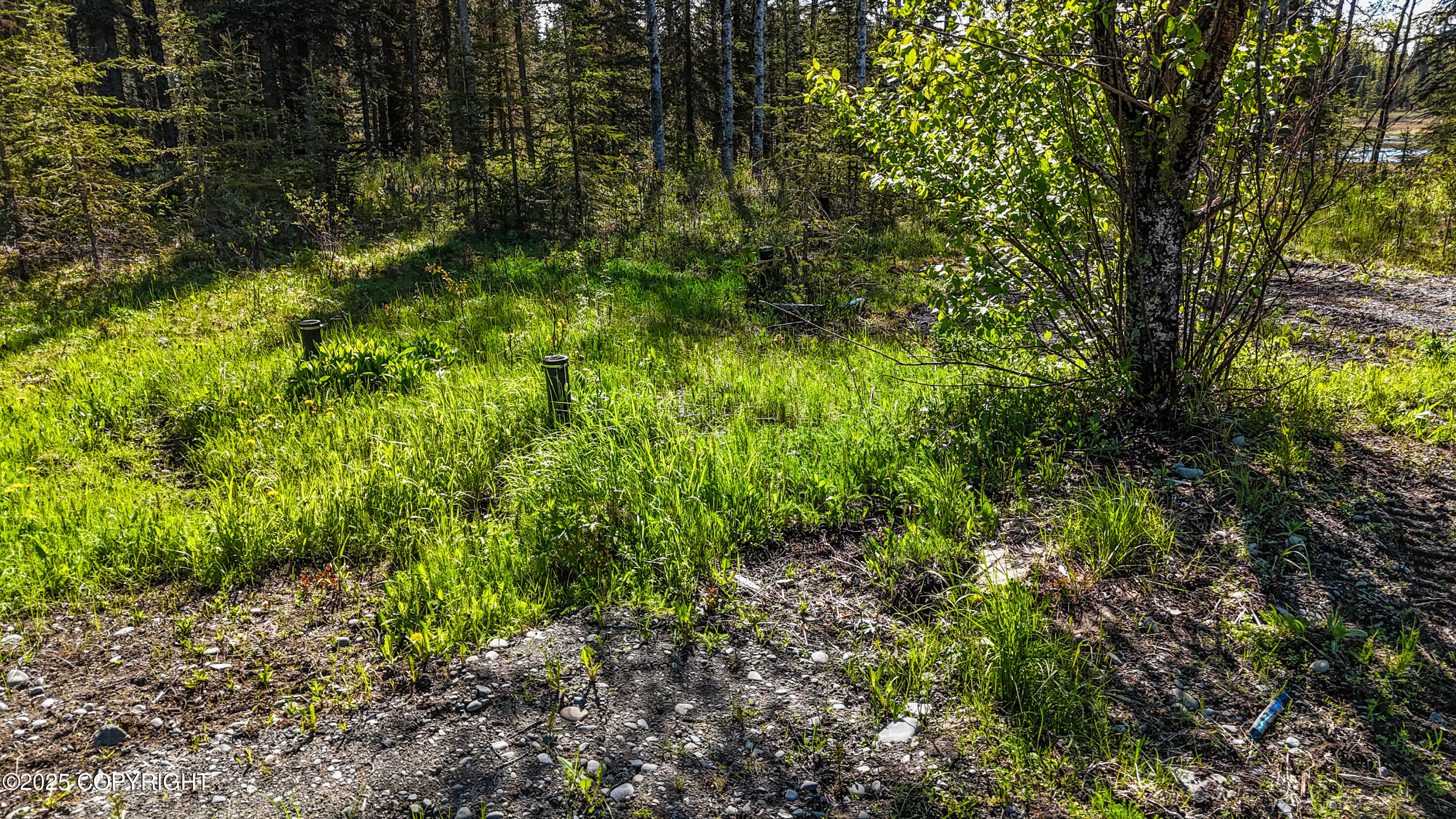 23650 Lost Street, Kasilof, Alaska image 11