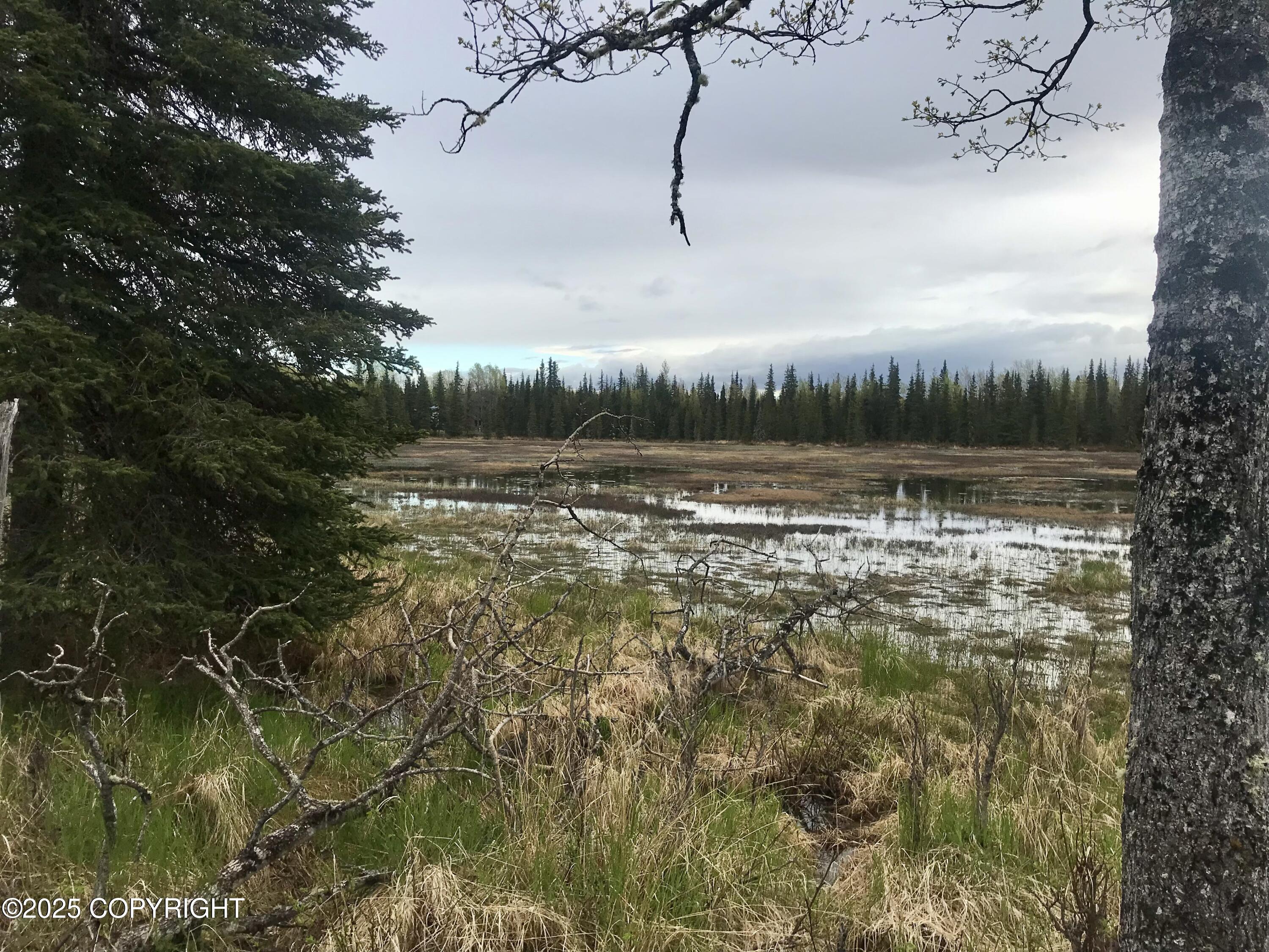 23650 Lost Street, Kasilof, Alaska image 38