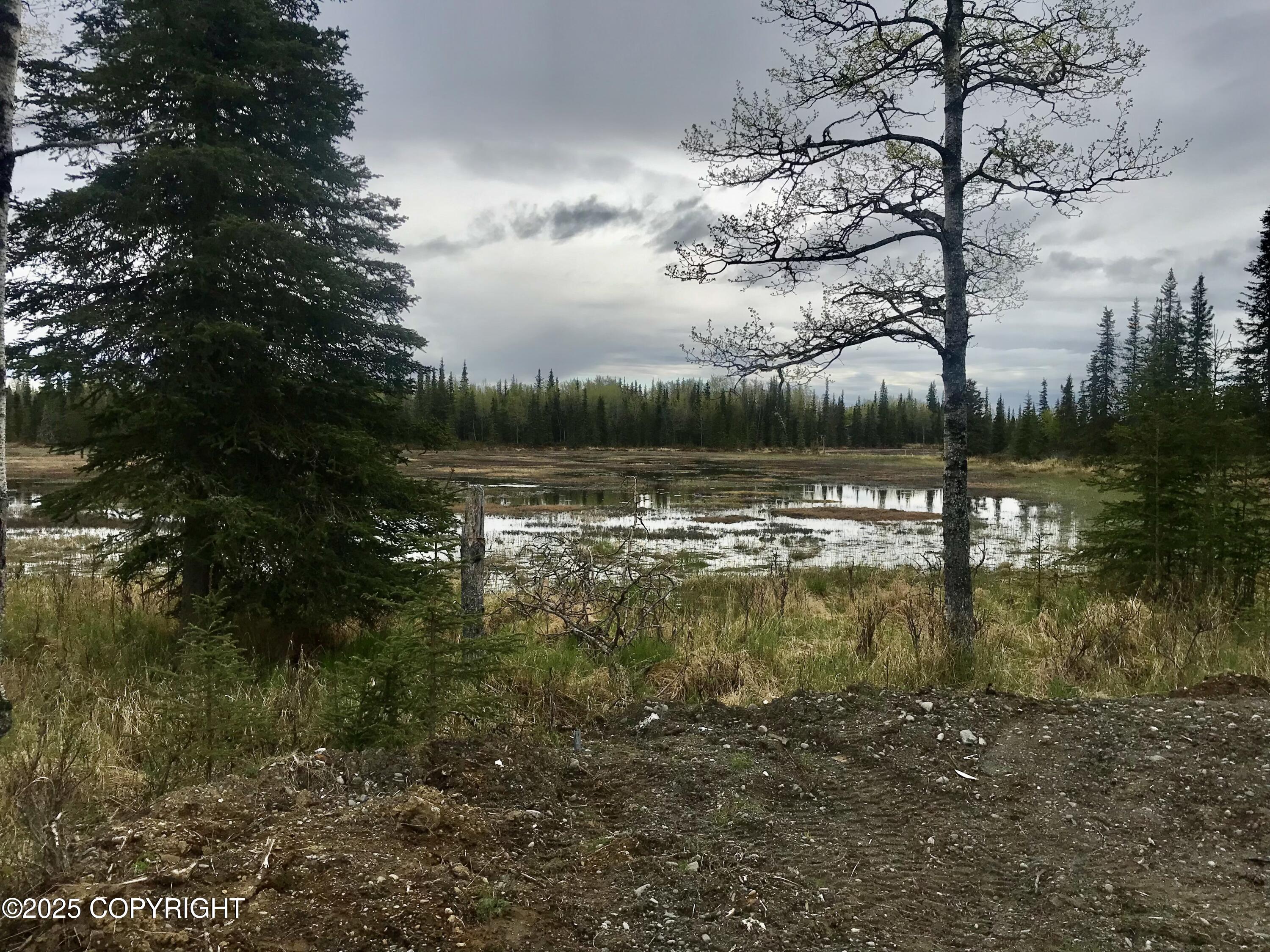 23650 Lost Street, Kasilof, Alaska image 39