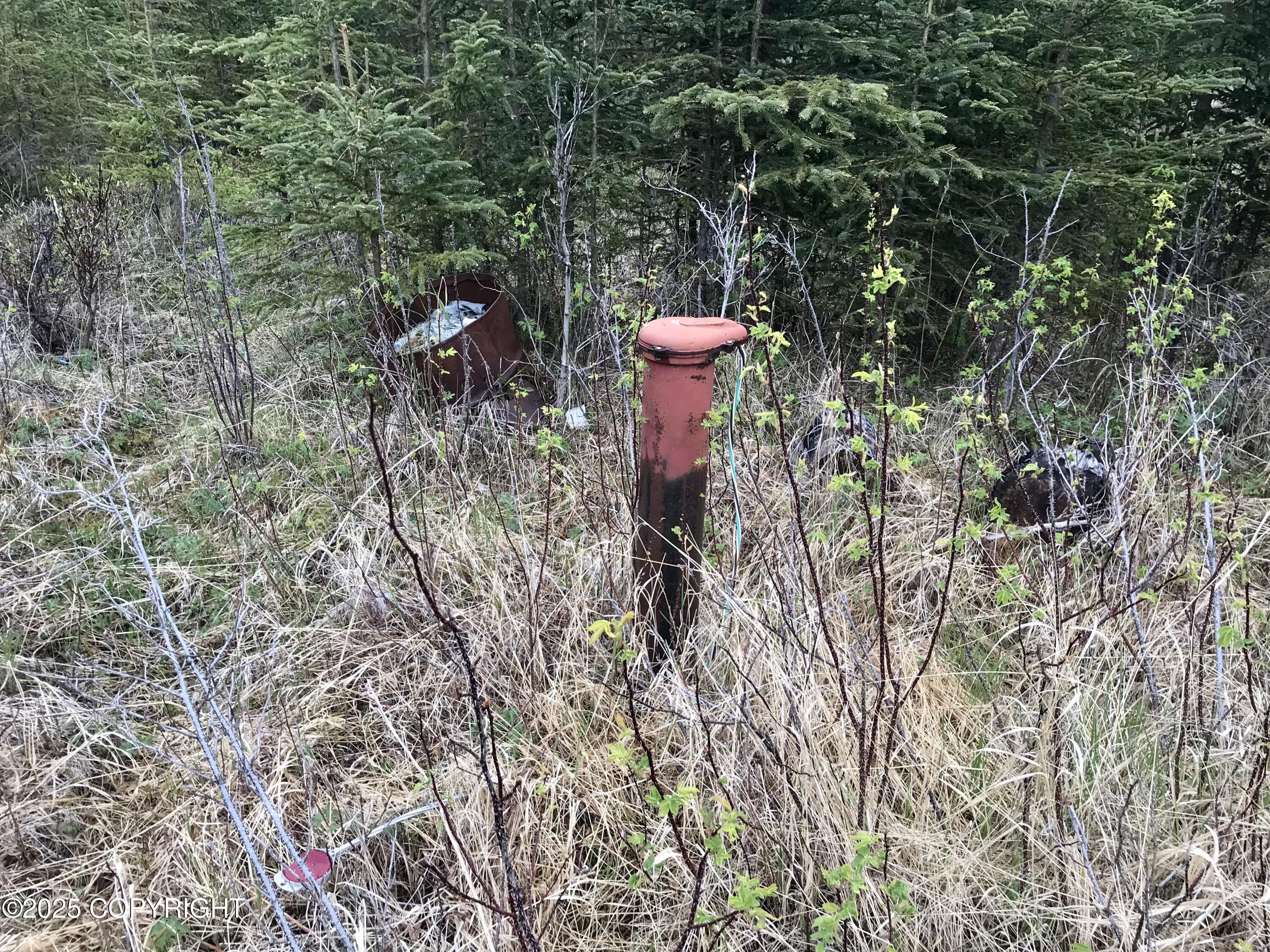 23650 Lost Street, Kasilof, Alaska image 4