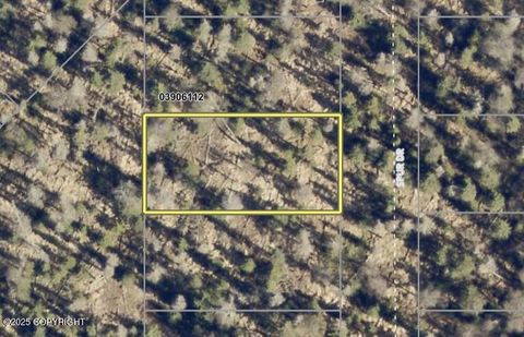 Vacant Land For Sale - 1041 Spur Drive<br/> Kenai, AK 99611