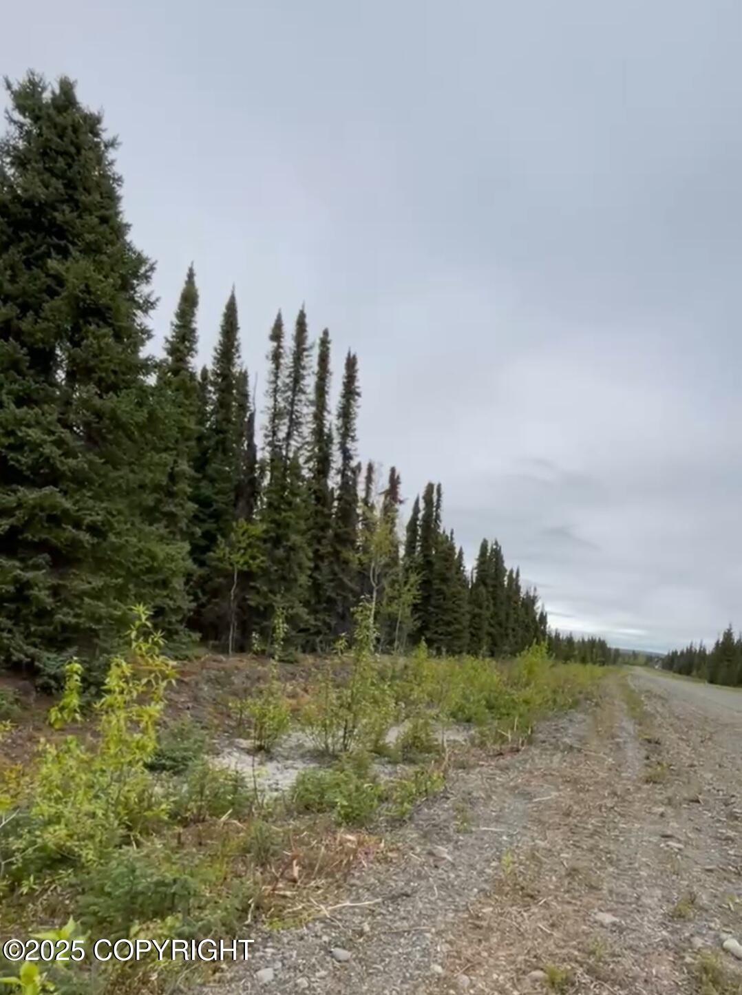 Lots 8 Chinook Street, Soldotna, Alaska image 3