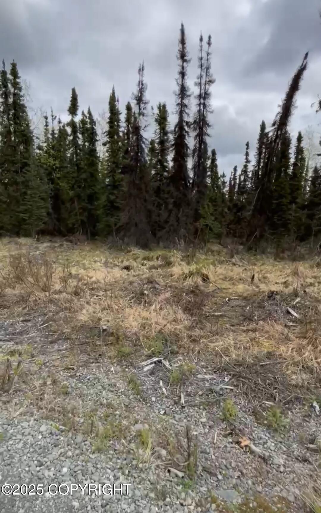 Lots 8 Chinook Street, Soldotna, Alaska image 6