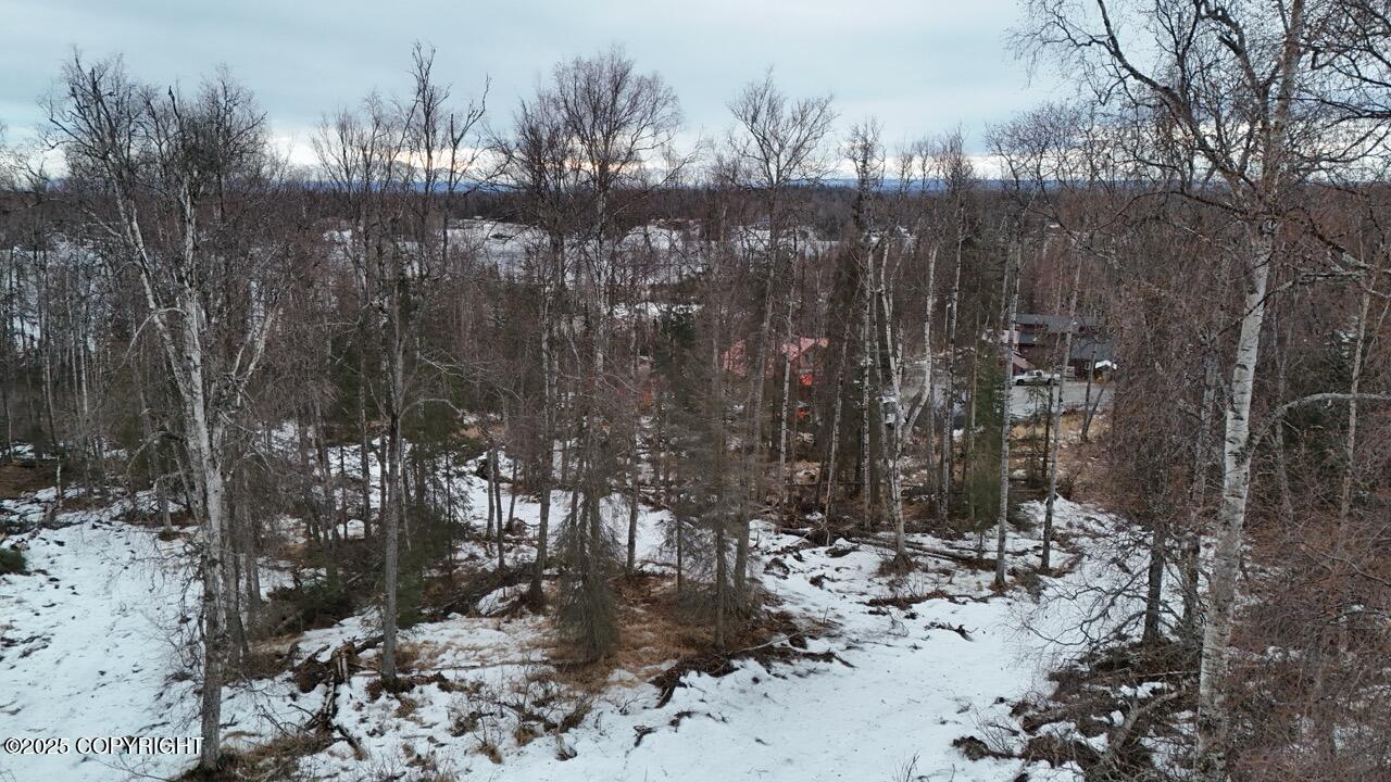 NHN N Lenora Court, Soldotna, Alaska image 18