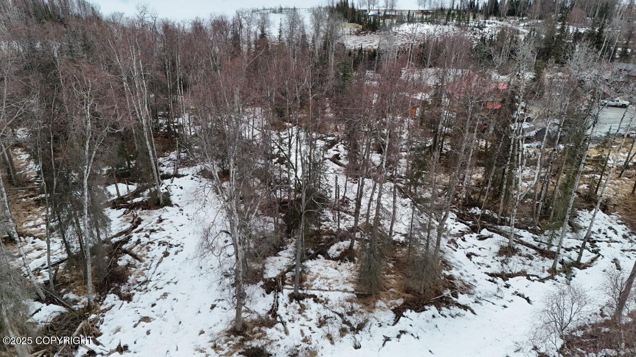 NHN N Lenora Court, Soldotna, Alaska image 19