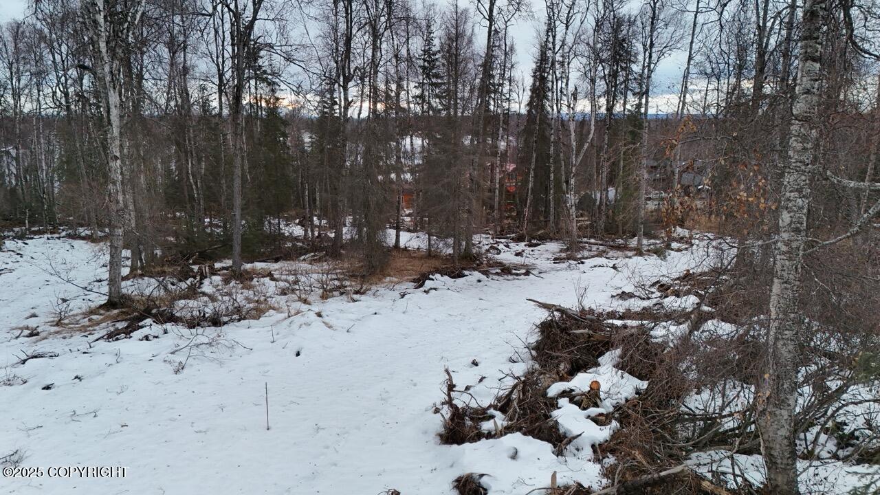 NHN N Lenora Court, Soldotna, Alaska image 17