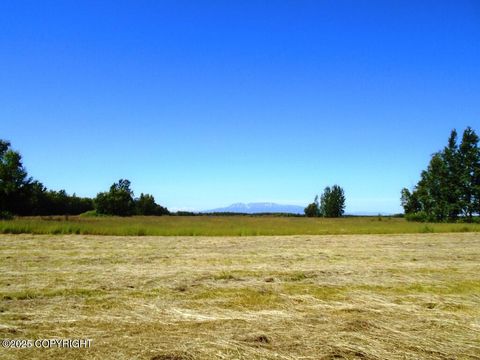 15068 S Brown Swiss Road Wasilla AK 99654