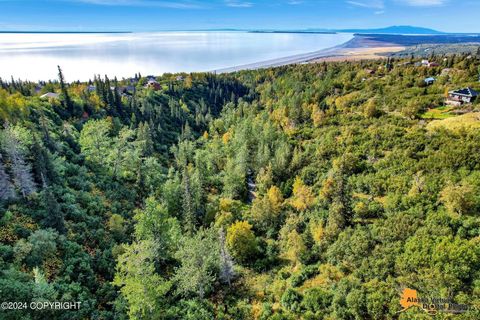 Vacant Land For Sale - L21-22 Bulgaria Drive<br/> Anchorage, AK 99516