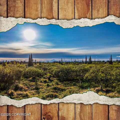 Vacant Land For Sale - 54151 Straight In Trail<br/> Ninilchik, AK 99639