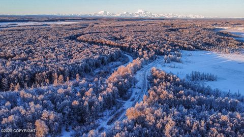 Photo of 49246 S Hunter Drive, Willow, AK 99688 (MLS # 25-14565)