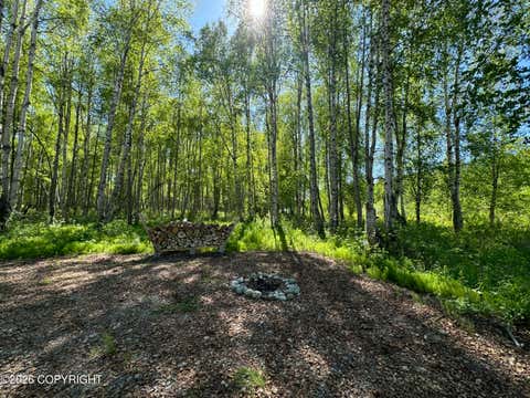 Vacant Land For Sale - 49246 S Hunter Drive<br/> Willow, AK 99688