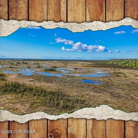 Vacant Land For Sale - B1 Tr A Kasilof Wilderness Sub<br/> Kasilof, AK 99610