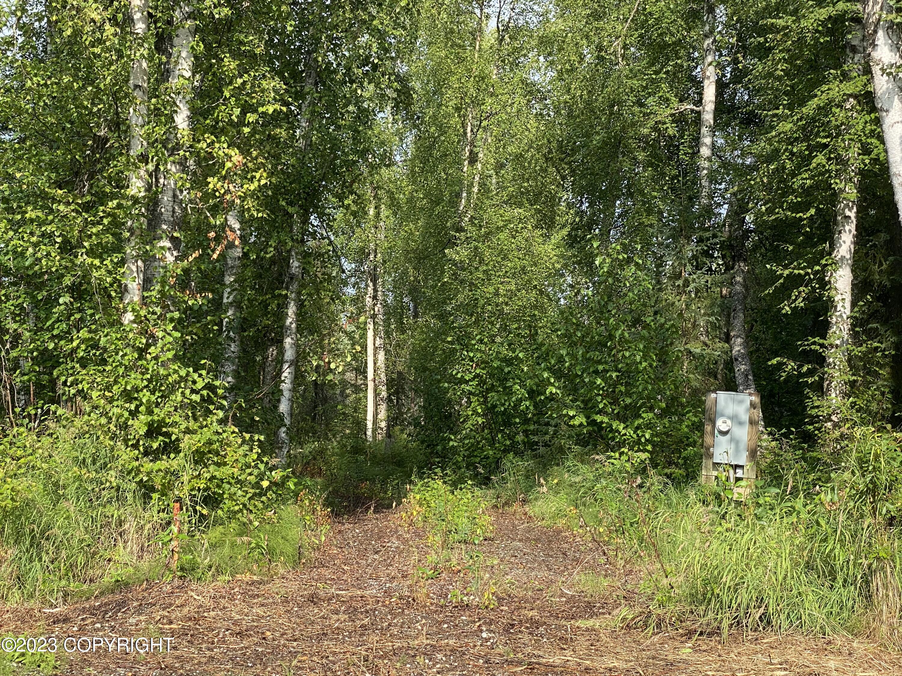 49375 S Noahs Circle, Willow, Alaska image 3