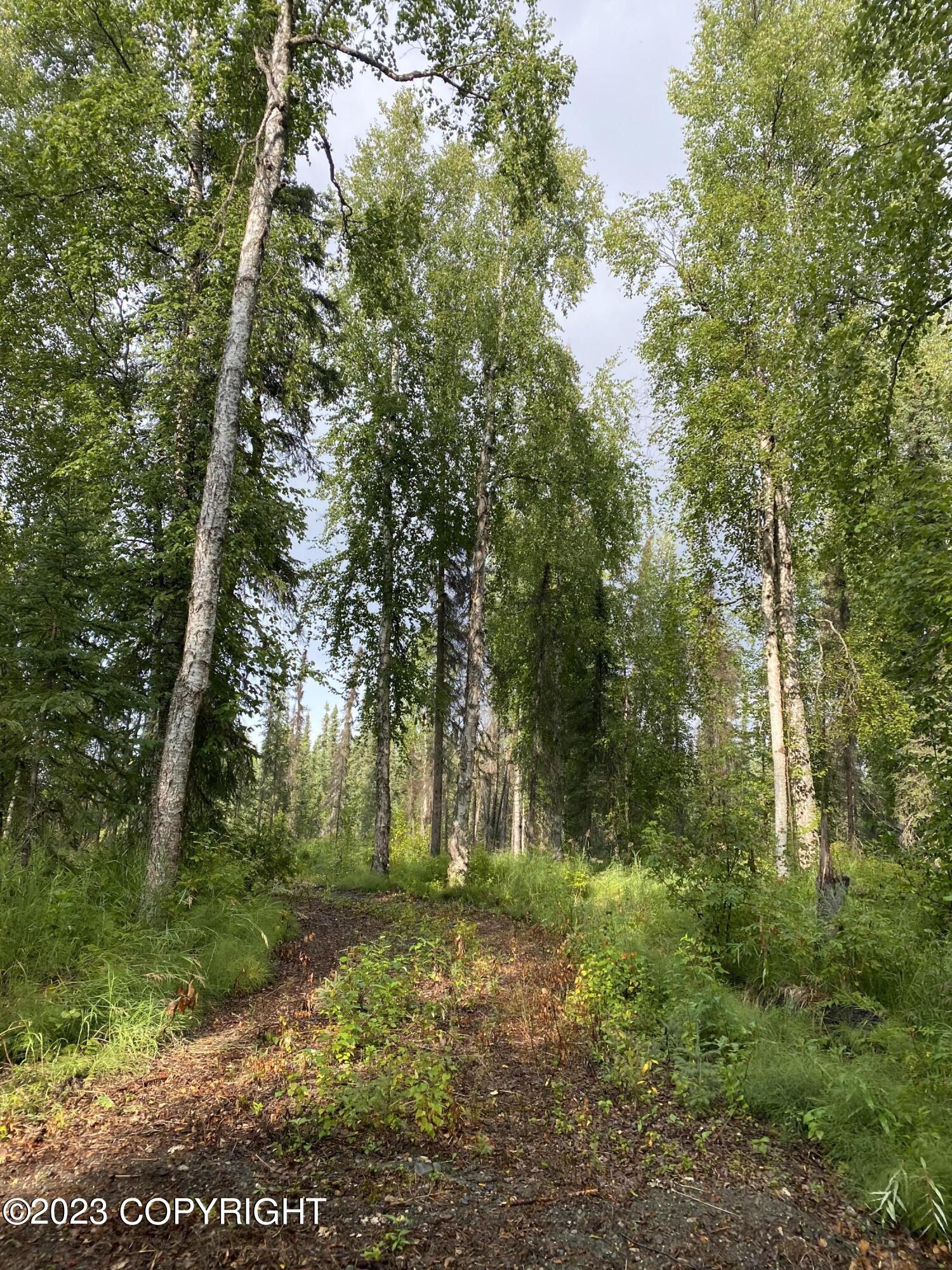 49375 S Noahs Circle, Willow, Alaska image 2
