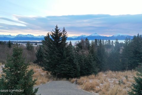 Vacant Land For Sale - 3720 Forest Glen Drive<br/> Homer, AK 99603