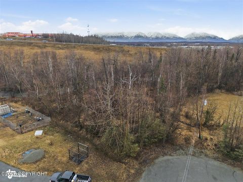 Photo of 900 S Woodcrest Circle, Wasilla, AK 99654 (MLS # 26-4897)