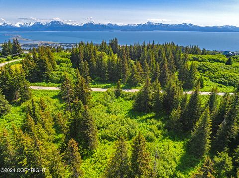 Vacant Land For Sale - 210 Tulin Terrace Boulevard<br/> Homer, AK 99603