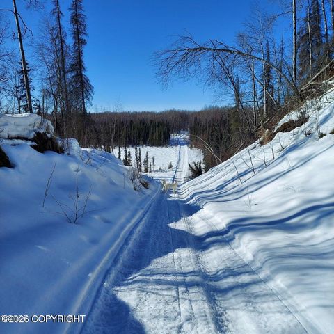 Vacant Land For Sale - NO ROAD E Walsted Drive<br/> Talkeetna, AK 99676