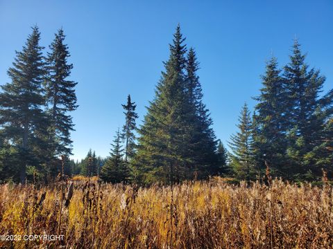 Vacant Land For Sale - 67698 Shavila Road<br/> Ninilchik, AK 99639