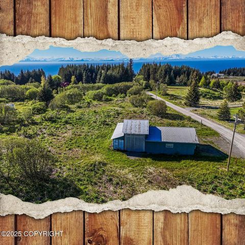 Vacant Land For Sale - 71265 Kallman Drive<br/> Anchor Point, AK 99556