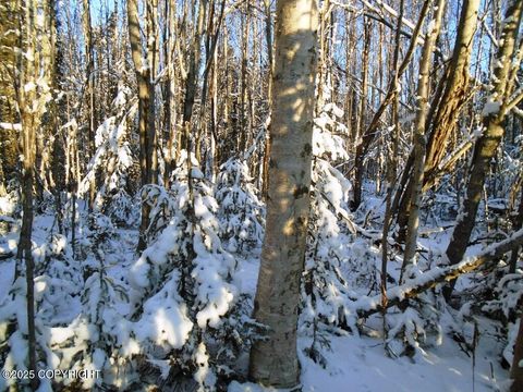 Vacant Land For Sale - 6677 S Lark Circle<br/> Wasilla, AK 99623