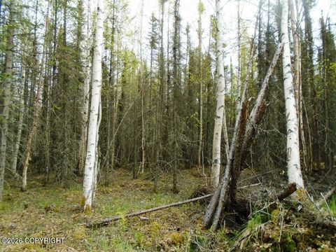 Vacant Land For Sale - 6677 S Lark Circle<br/> Wasilla, AK 99623