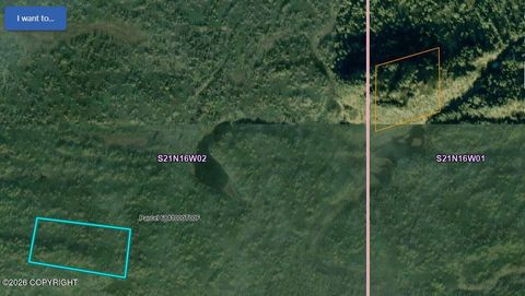 Vacant Land For Sale - 508216 Skwentna River<br/> Skwentna, AK 99667