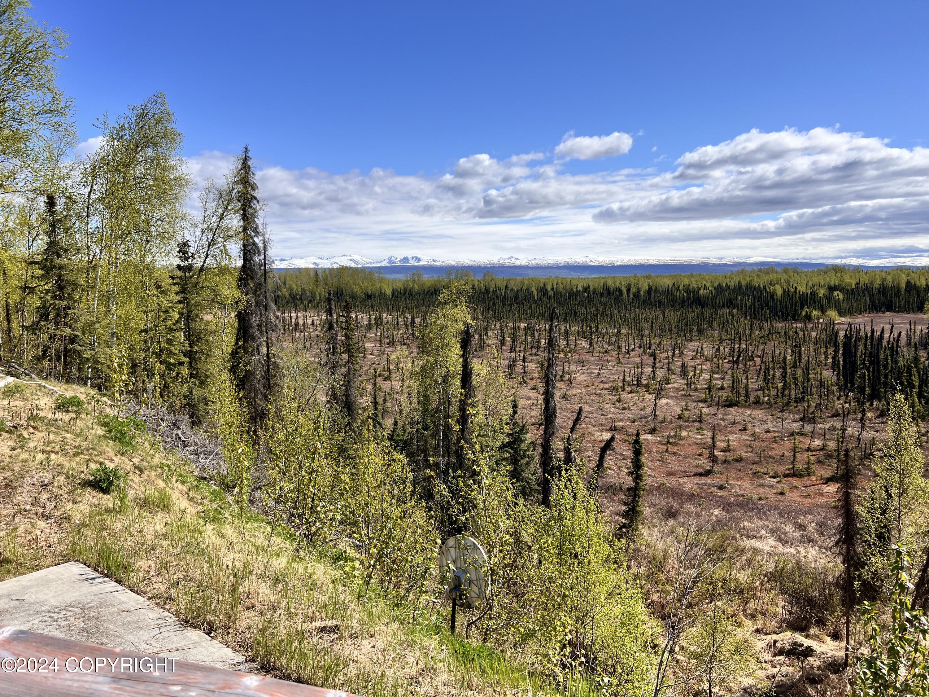 55343 S Sroufe Boulevard, Willow, Alaska image 42