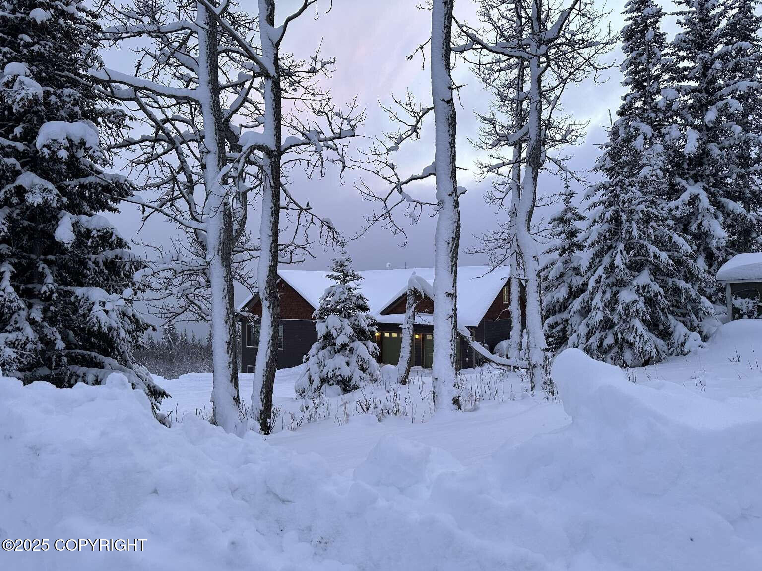 51335 Raven Canyon Court, Homer, Alaska image 42