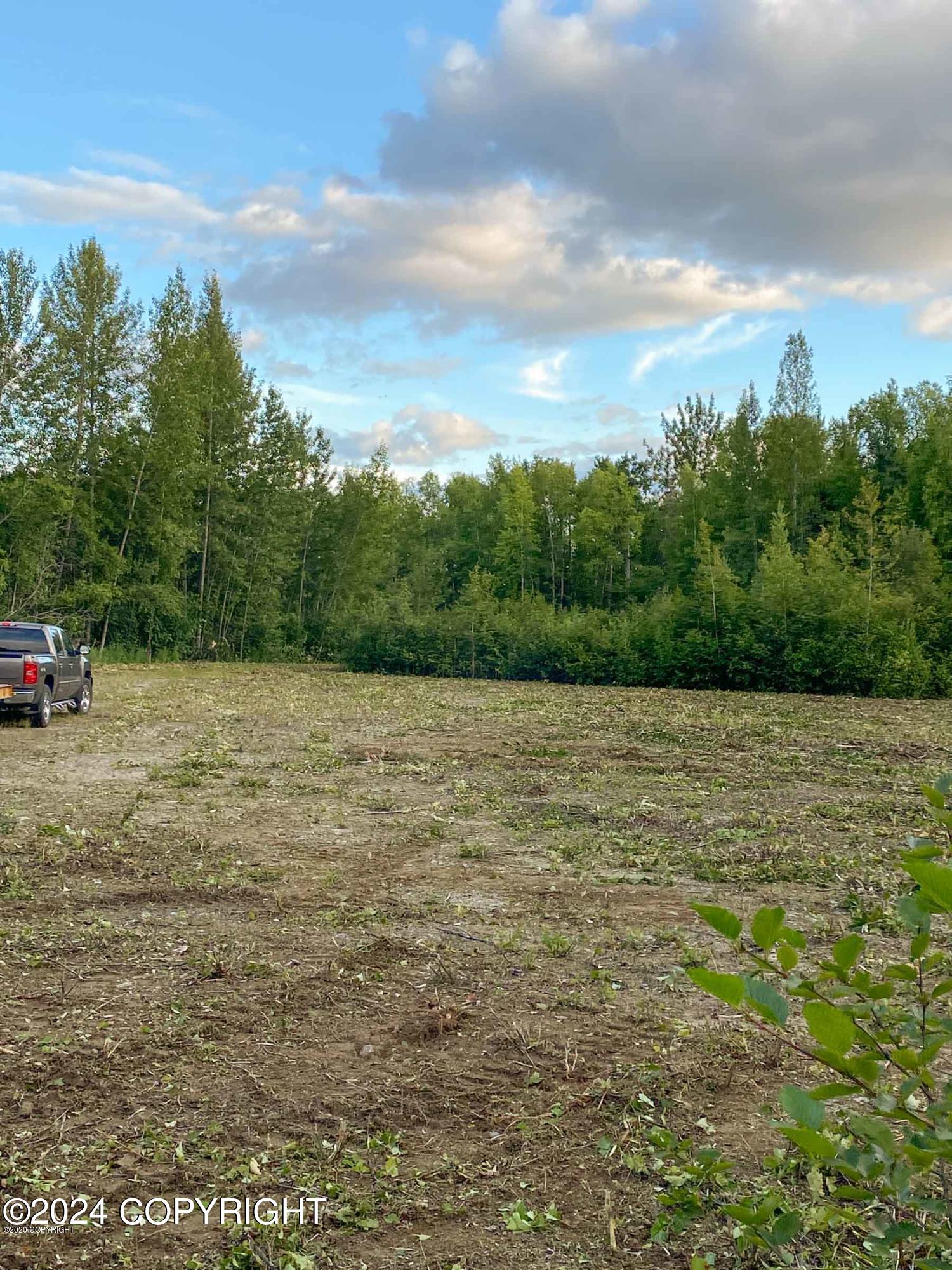 27048 W Parks Highway, Willow, Alaska image 17