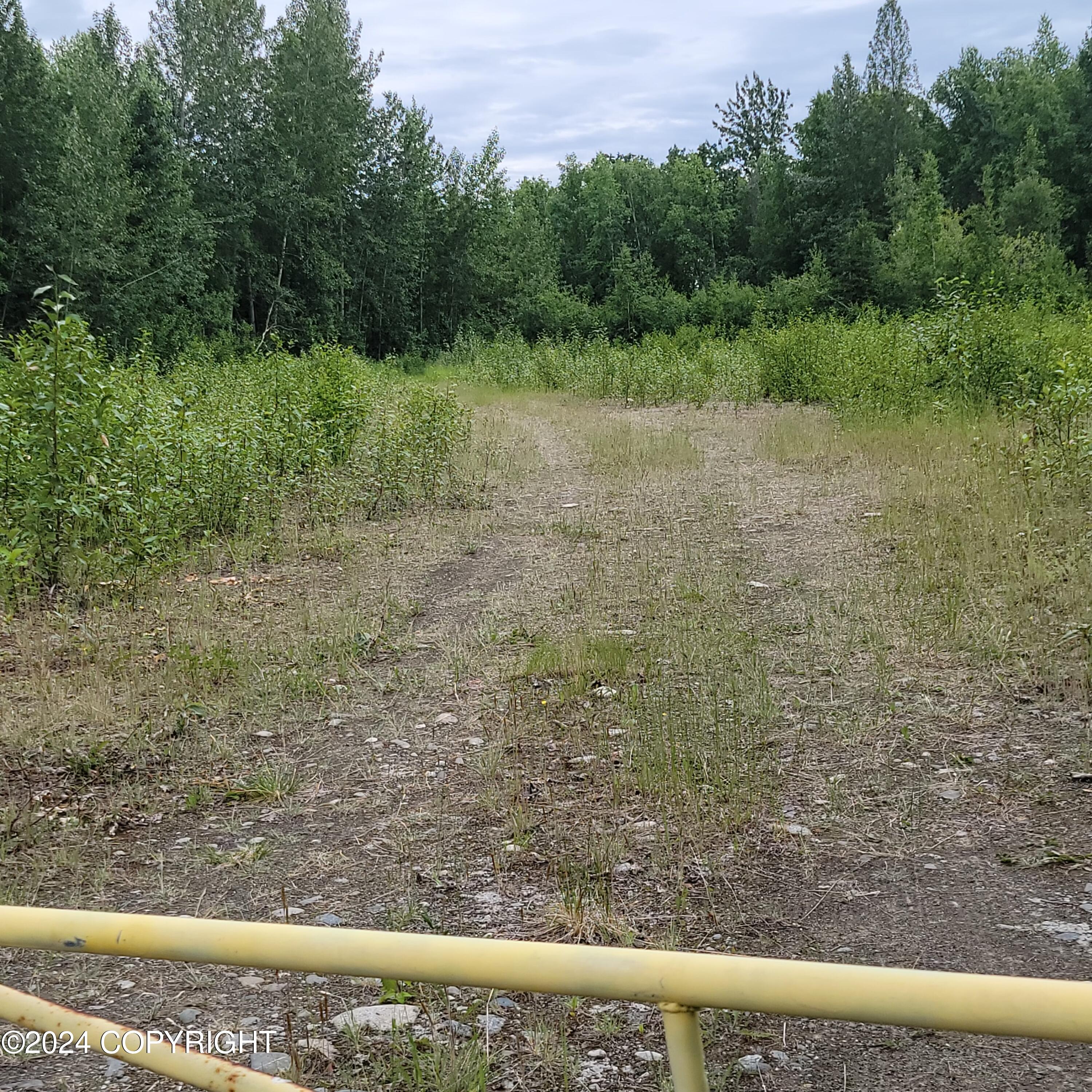 27048 W Parks Highway, Willow, Alaska image 19