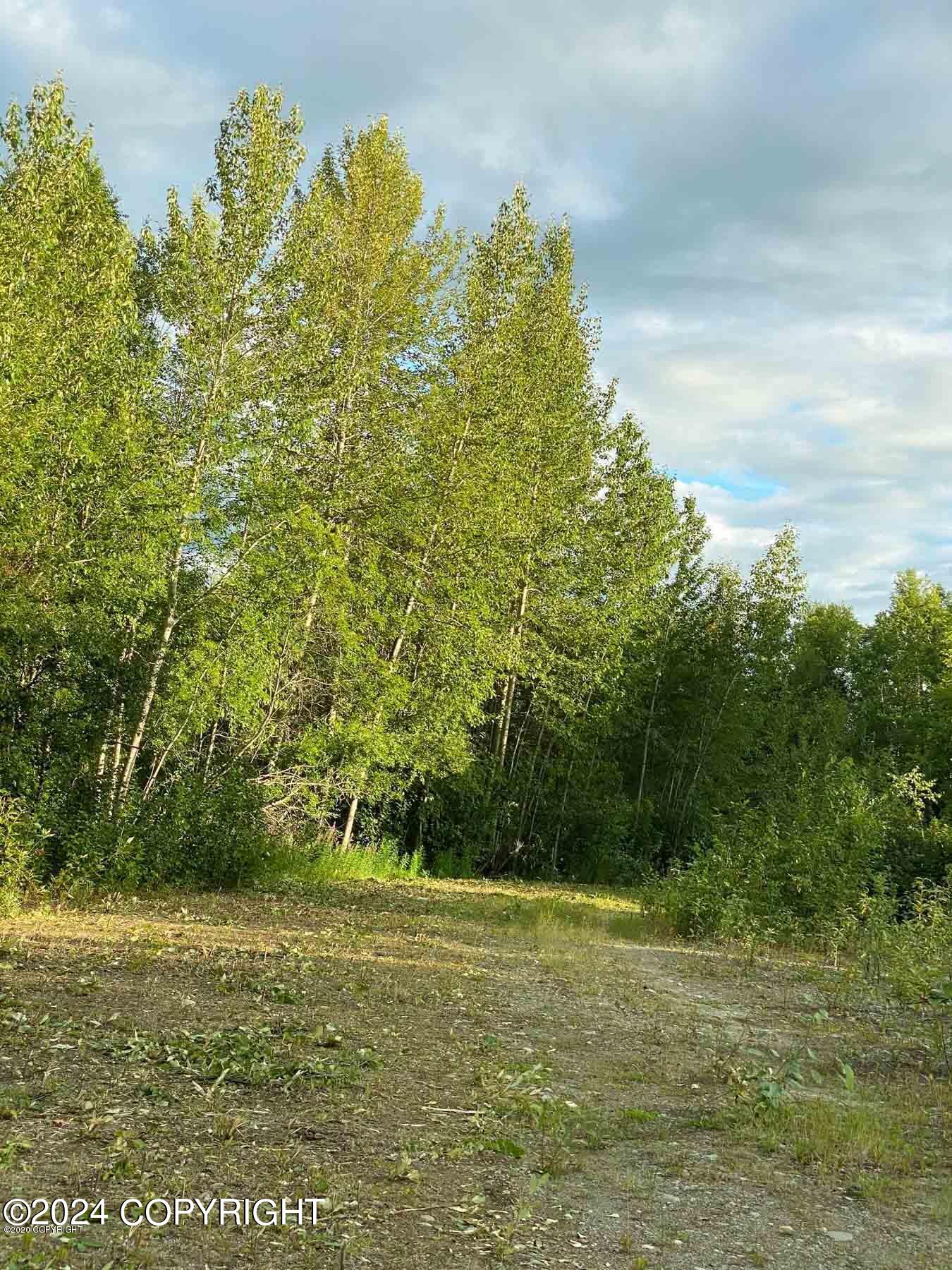 27048 W Parks Highway, Willow, Alaska image 7