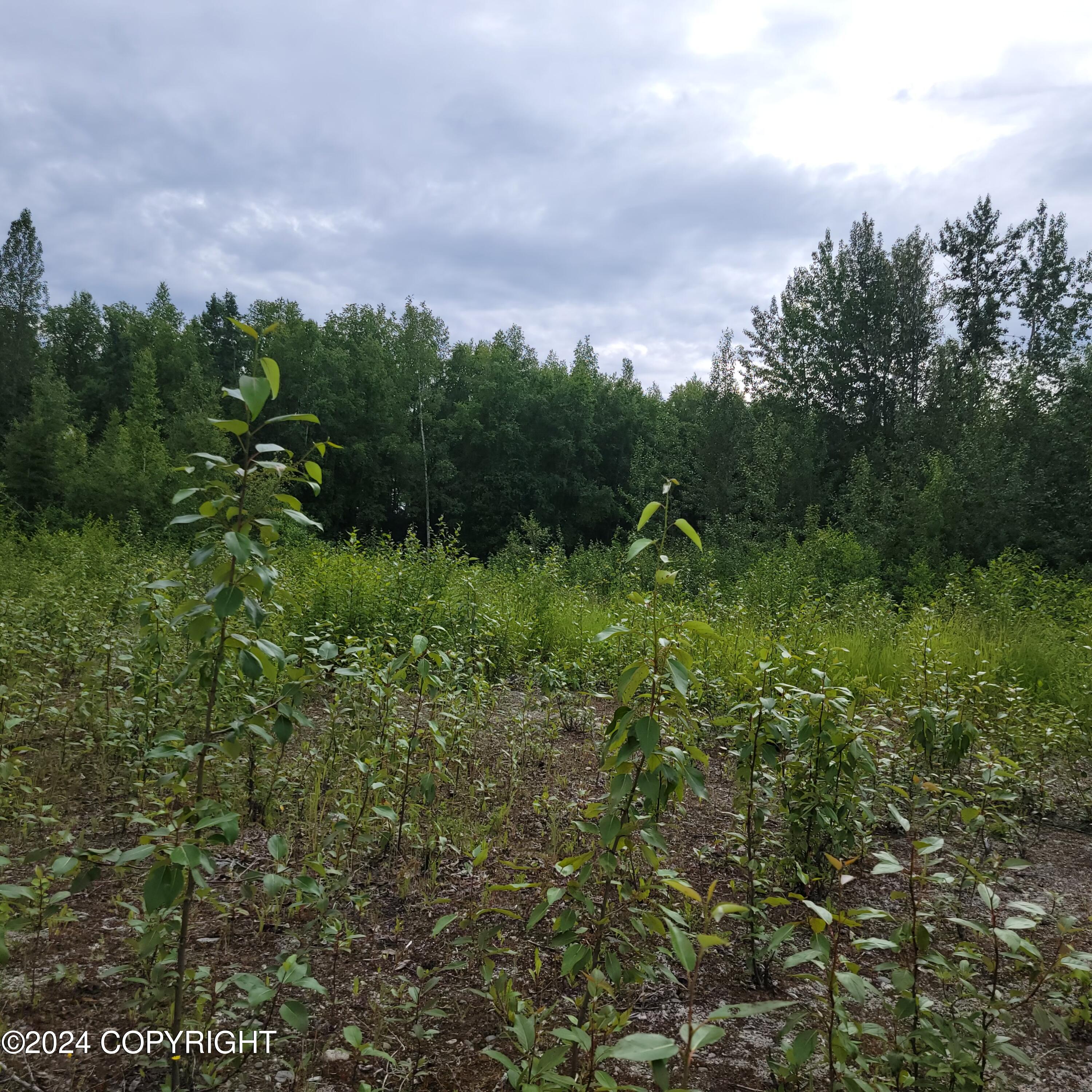 27048 W Parks Highway, Willow, Alaska image 21
