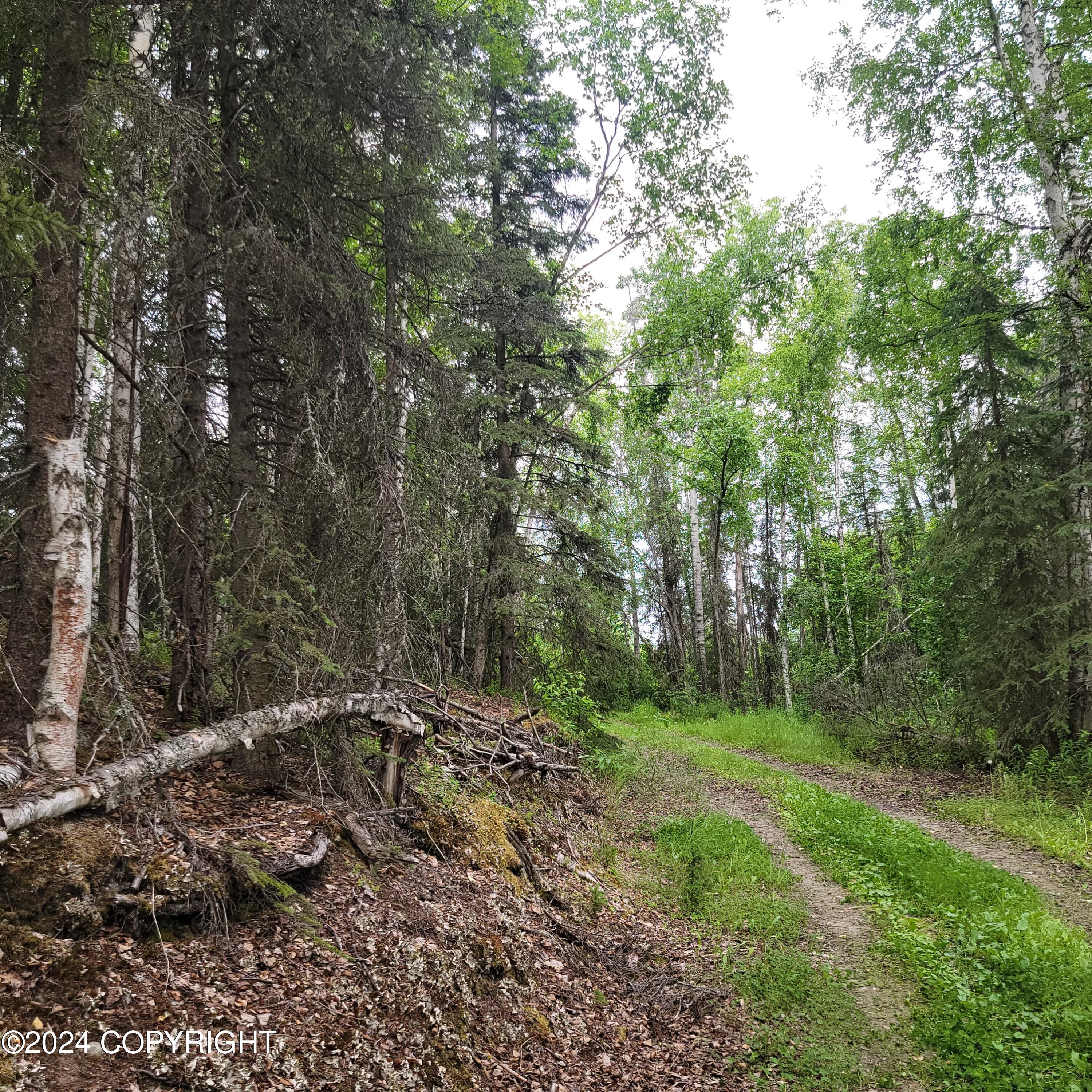 27048 W Parks Highway, Willow, Alaska image 23
