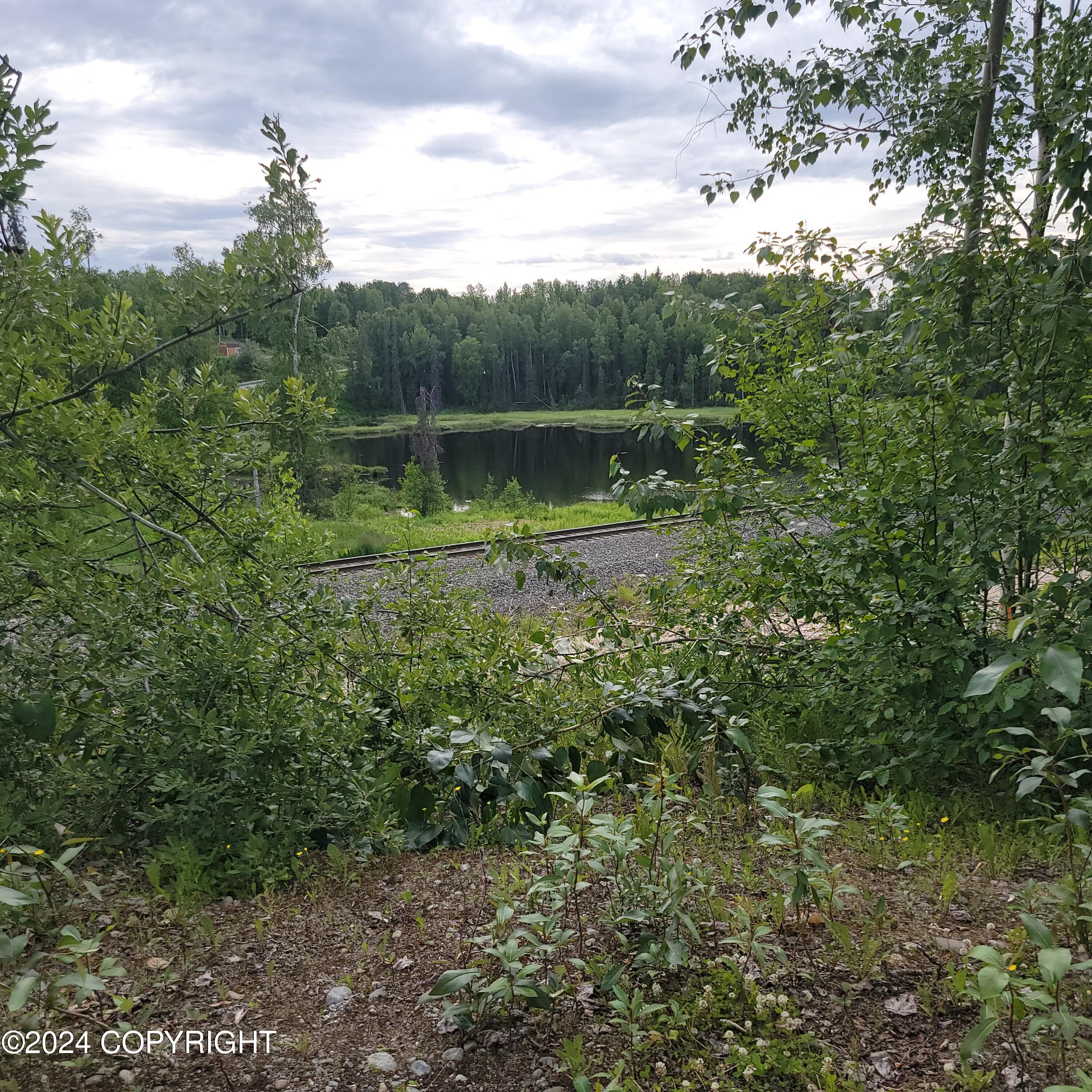 27048 W Parks Highway, Willow, Alaska image 4